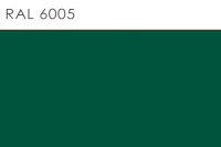 6005